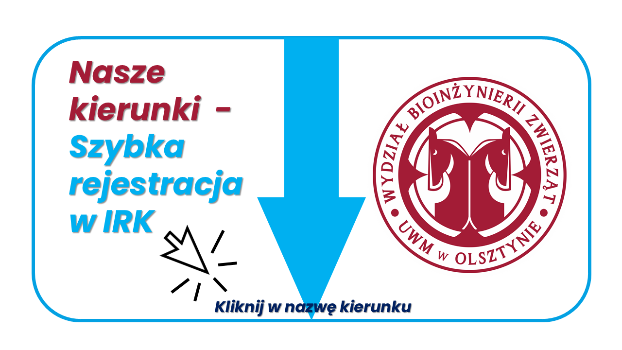 Nasze kjierunki - grafika ozdobna